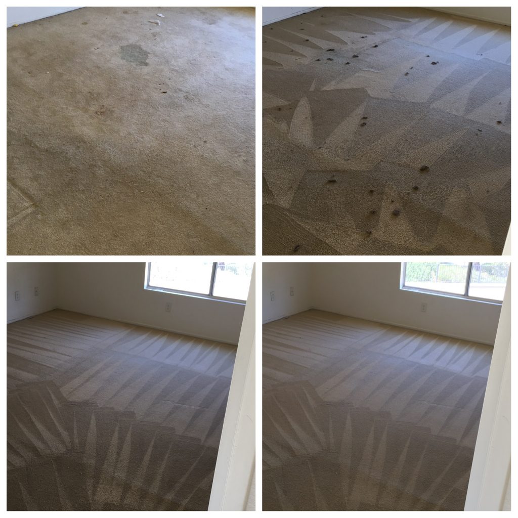 Apartment Carpet Cleaning Service Lake Elsinore Carpet Cleaning Services